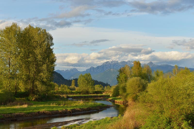 Pitt River and Golden Ears Mountain at spring sunset, British Columbia. Pitt River and Golden Ears Mountain at spring sunset, British Columbia