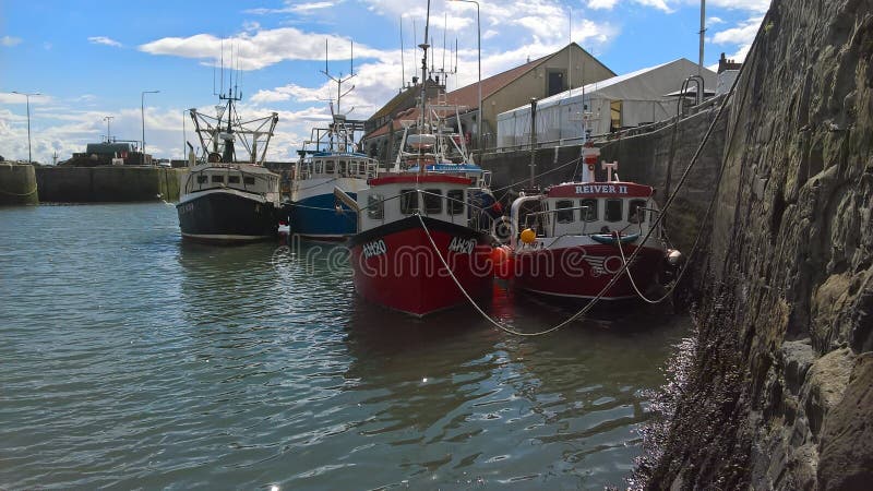 Pittenweemhaven stock afbeelding Pittenweemhaven stock afbeelding