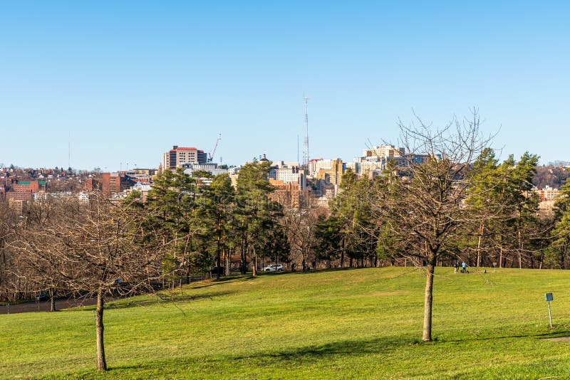 Pittsburgh, Pennsylvania, USA December 12, 2021 Trees on the Disc Golf course in Schenley Park with the Oakland neighborhood and part of the UPMC in the distance on a sunny winter day. Pittsburgh, Pennsylvania, USA December 12, 2021 Trees on the Disc Golf course in Schenley Park with the Oakland neighborhood and part of the UPMC in the distance on a sunny winter day.