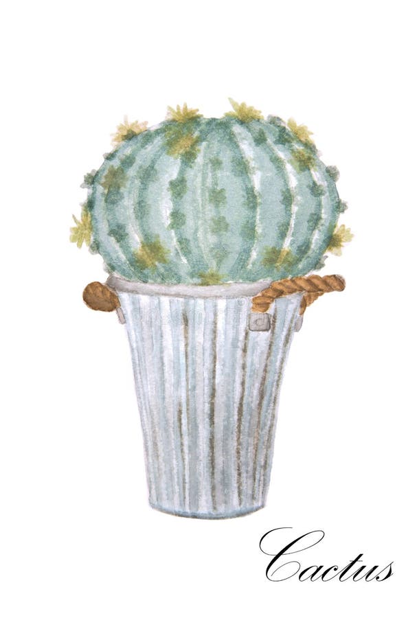 Pittura dell'acquerello del cactus in vaso illustrazione vettoriale Pittura dell'acquerello del cactus in vaso illustrazione vettoriale