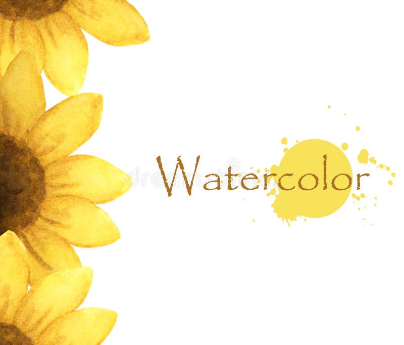 Pittura dell'acquerello del fiore giallo con il posto per i testo-girasoli illustrazione vettoriale Pittura dell'acquerello del fiore giallo con il posto per i testo-girasoli illustrazione vettoriale