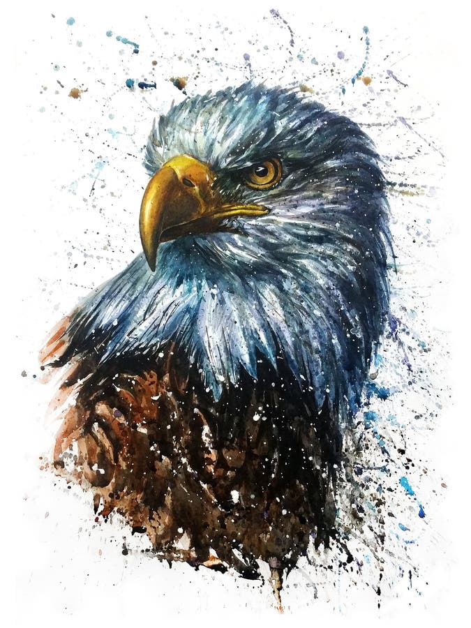 Pittura predatore della fauna selvatica dell'acquerello di Eagle dell'americano