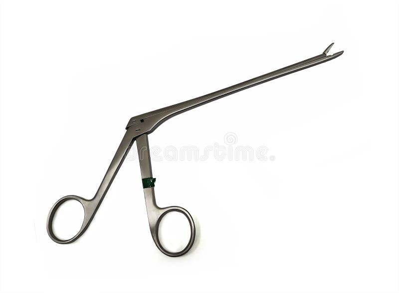 Pituitary Forceps stock photo. Image of scissors, kerrison 167726742