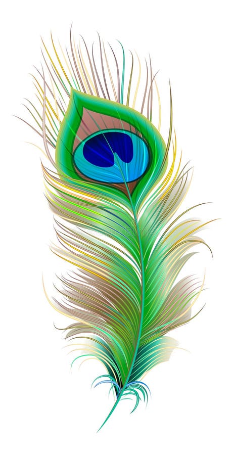 Piuma del pavone E illustrazione di stock Piuma del pavone E illustrazione di stock