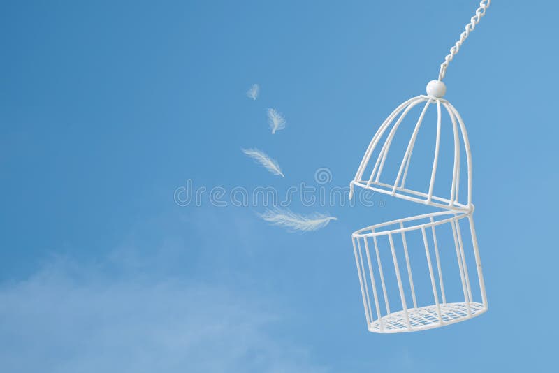 Piume bianche che galleggiano fuori della gabbia per uccelli su cielo blu con il clou