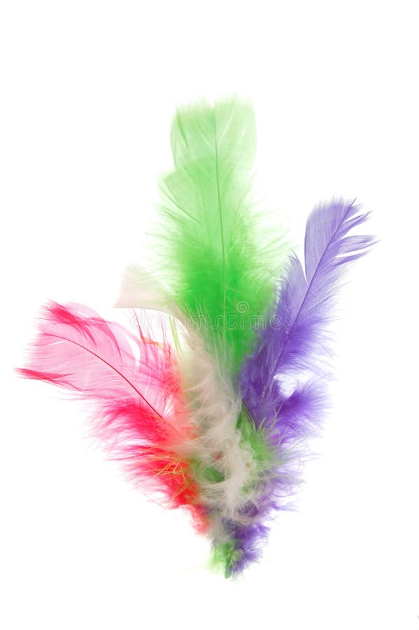 Piume colorate fotografie stock libere da diritti