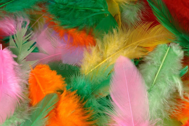 Piume Colorate fotografia stock libera da diritti