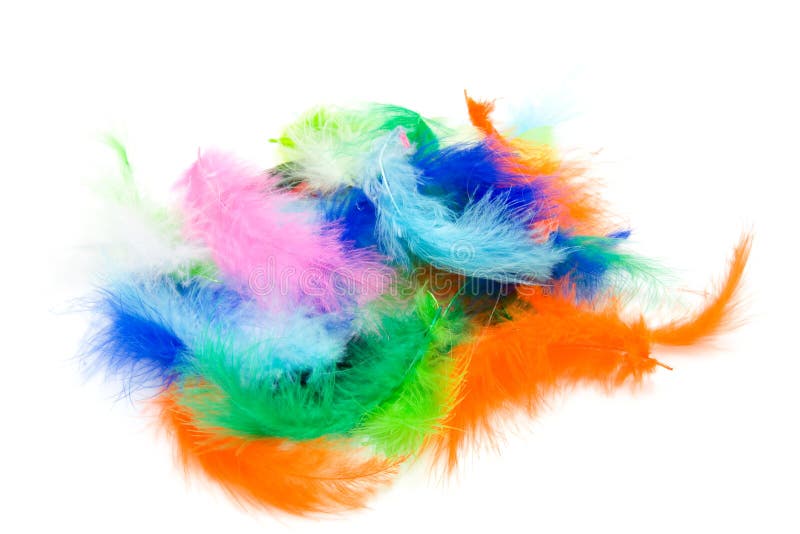 Piume colorate fotografia stock libera da diritti