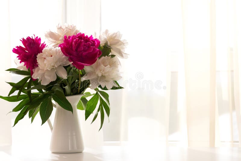 Pivoines blanches et roses dans le vase sur la table blanche image libre de droits Pivoines blanches et roses dans le vase sur la table blanche image libre de droits