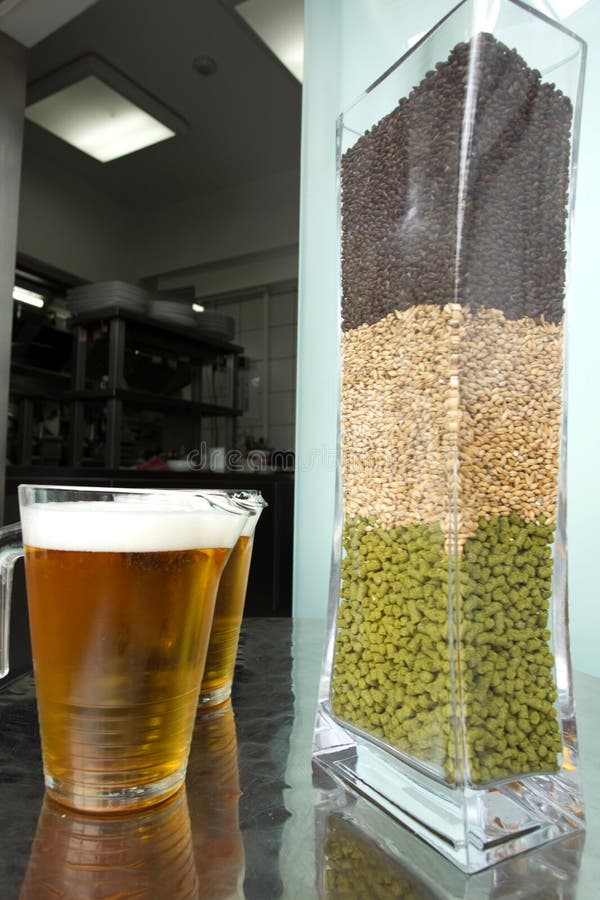 Mugs with beer and beer ingredients. Mugs with beer and beer ingredients.