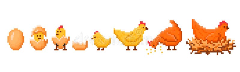 Pixel art chicken hatching. Hen life cycle sequence from egg to chick and adult chicken, retro 8-bit game style vector vector illustration
