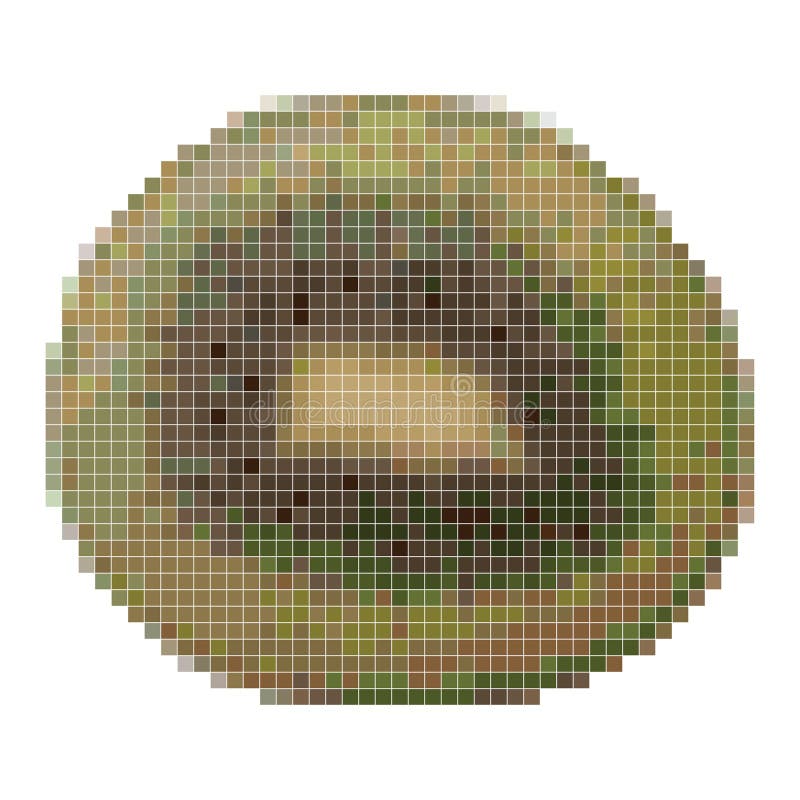 Pixel art kiwi icon 32x32 Royalty Free Vector Image