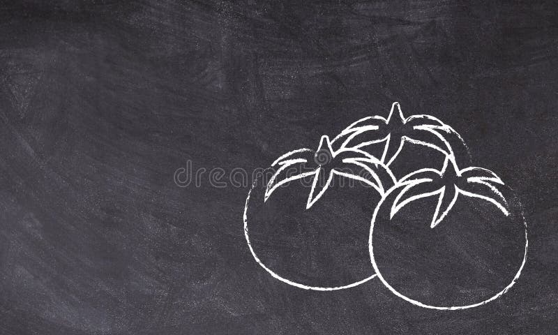 Illustration of group of three tomatoes on a black chalkboard background. Freehand chalk drawings of tomatoes. royalty free stock image