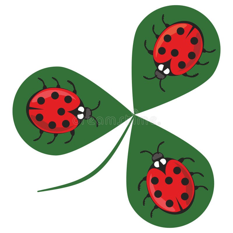 Pizca del trébol tres mariquitas Tres pequeños escarabajos rojos que se sientan en un trébol verde hojean Ejemplo alegre hermoso stock de ilustración Pizca del trébol tres mariquitas Tres pequeños escarabajos rojos que se sientan en un trébol verde hojean Ejemplo alegre hermoso stock de ilustración