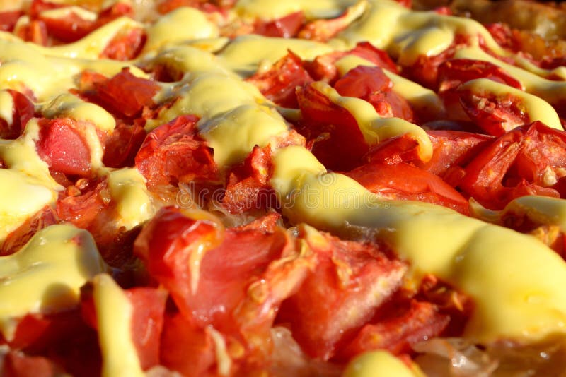 Pizza fresca con los tomates fotografía de archivo Pizza fresca con los tomates fotografía de archivo