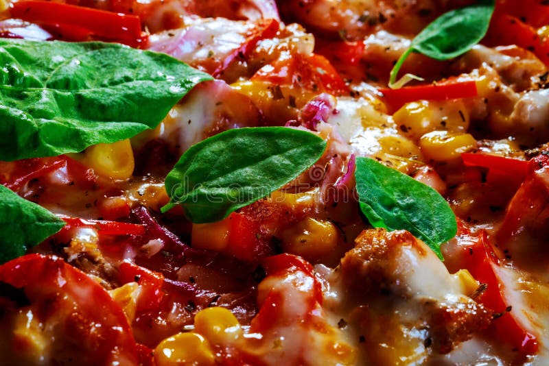 Pizza överträffade med skinka, tomater, kryddor, läcker pizza för ny basilika Hemmet gjorde mat close upp royaltyfri bild Pizza överträffade med skinka, tomater, kryddor, läcker pizza för ny basilika Hemmet gjorde mat close upp royaltyfri bild