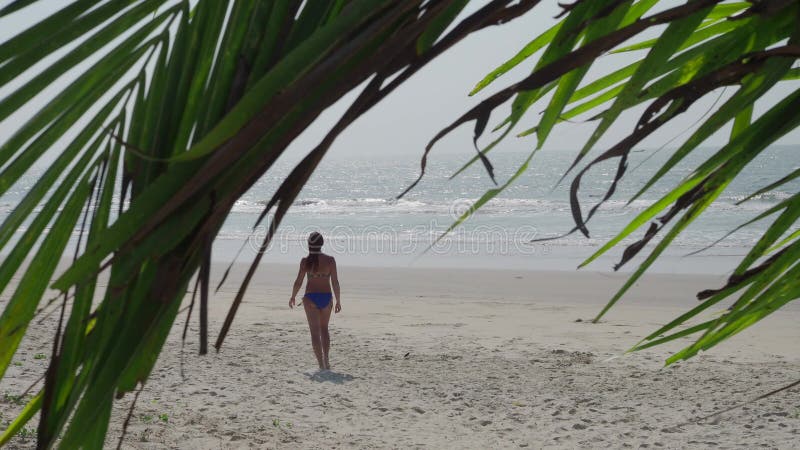 Piękna dziewczyna na plaży jest na piaskowatym brzeg