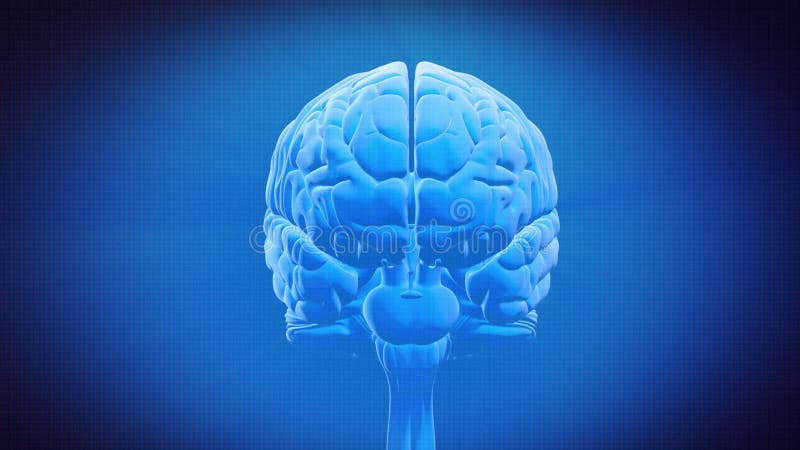 Partie du cerveau - SYSTÈME LIMBIQUE illustration de vecteur