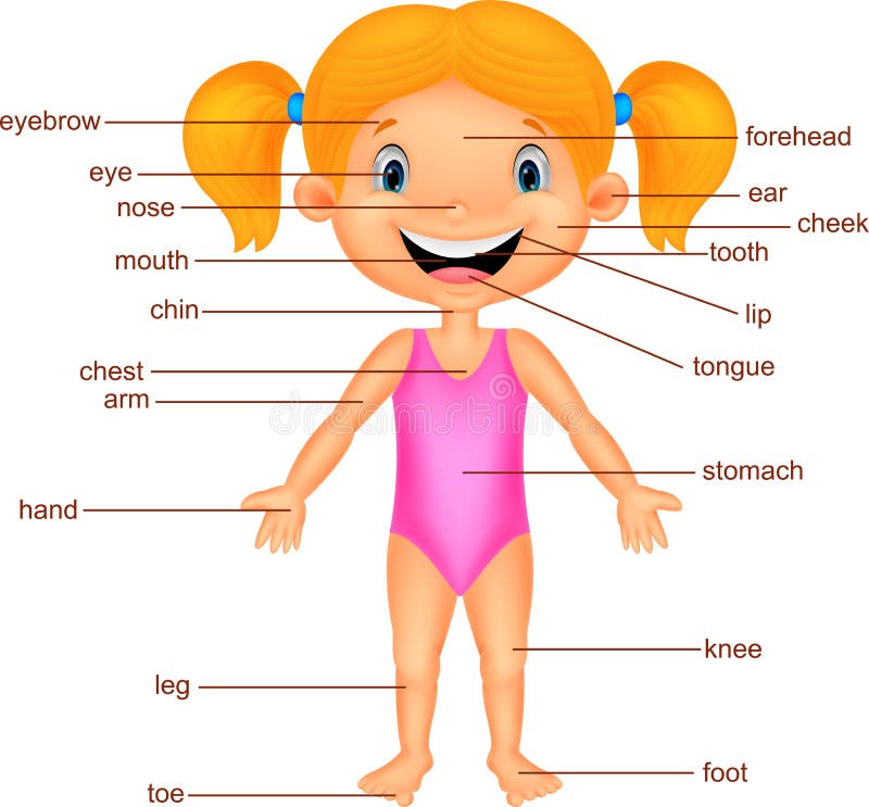 Pièce de vocabulaire de fille de bande dessinée de corps illustration stock Pièce de vocabulaire de fille de bande dessinée de corps illustration stock