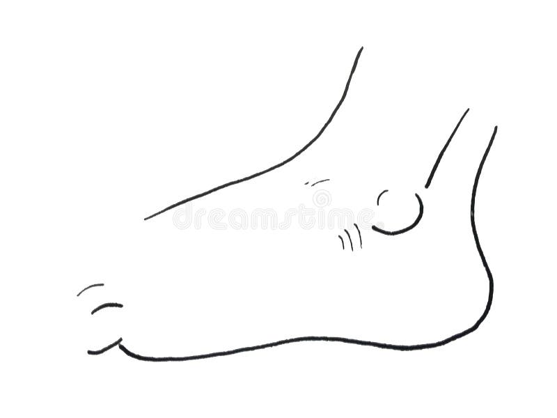 Pièces de corps humain pleine illustration de pied et d'orteil illustration stock Pièces de corps humain pleine illustration de pied et d'orteil illustration stock