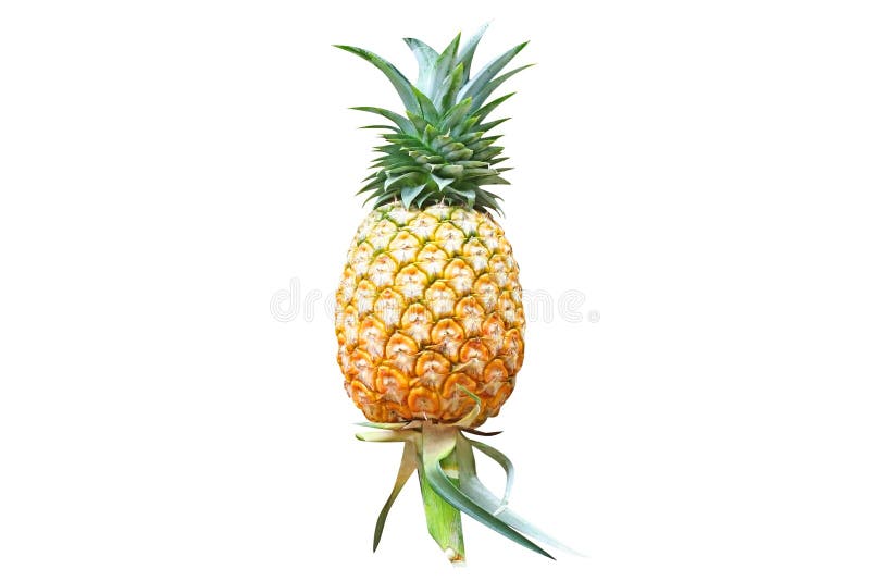 Piña de la frescura aislada en el fondo blanco imagenes de archivo Piña de la frescura aislada en el fondo blanco imagenes de archivo