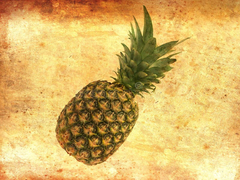 Piña entera en viejo fondo del grunge del papel del vintage Visión superior, espacio de la copia imagen de archivo libre de regalías Piña entera en viejo fondo del grunge del papel del vintage Visión superior, espacio de la copia imagen de archivo libre de regalías