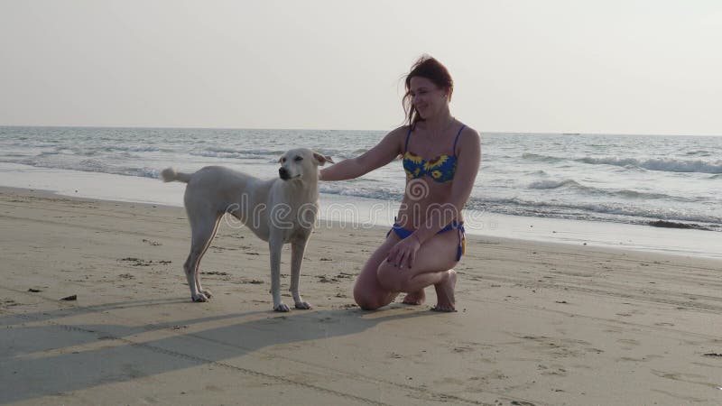 Piękna dziewczyna i pies na plaży 4K
