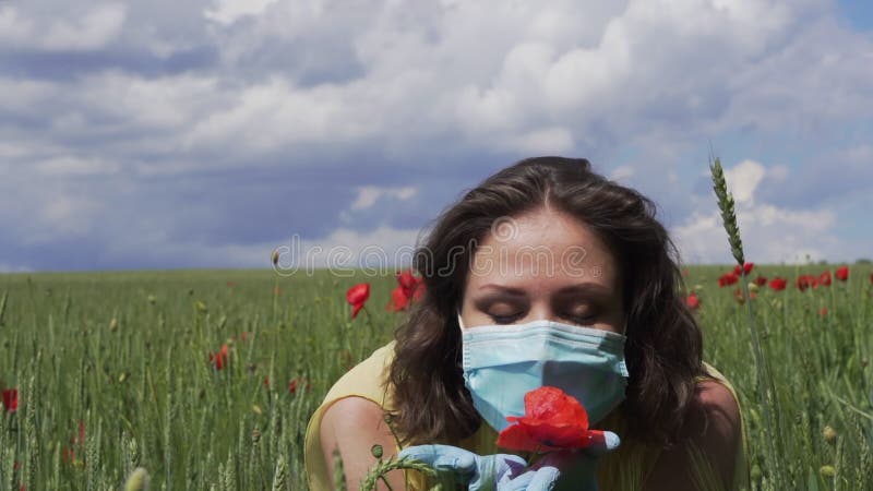Piękna dziewczyna w masce ochronnej i rękawiczkach na polu pszenicy zielone z czerwonym makiem wącha kwiat. epidemia koronawirusa zdjęcie wideo