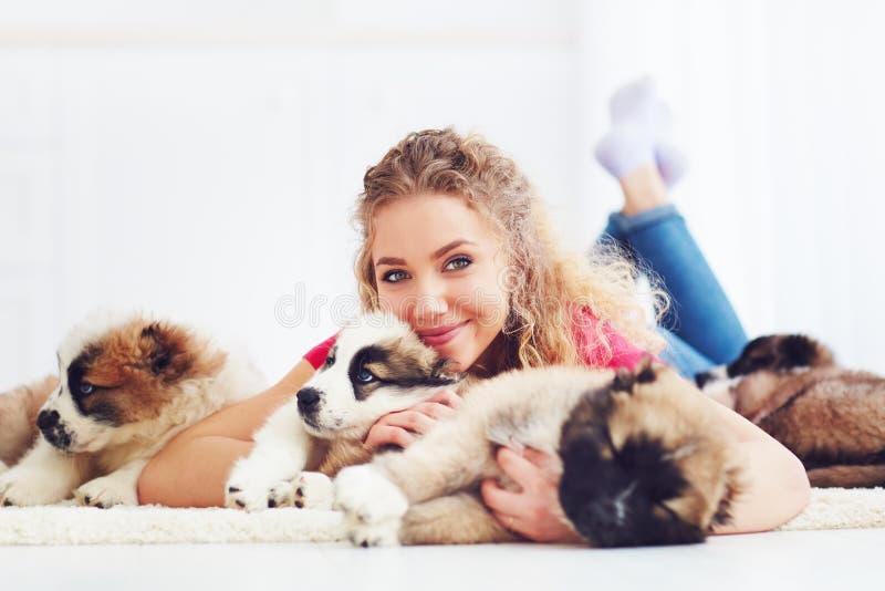 Piękna kobieta bawić się z ślicznymi caucasian pasterskimi szczeniakami fotografia royalty free