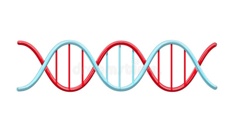 Piękna medyczna czerwień i błękitny naukowy kręcony helix struktury abstrakcjonistyczny model dna geny na białym tle wektor ilustracji