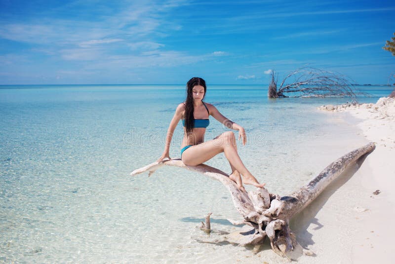 Piękna młoda kobieta w bikini w oceanie Młoda atrakcyjna brunetka w błękitnym swimsuit w błękitne wody fotografia royalty free Piękna młoda kobieta w bikini w oceanie Młoda atrakcyjna brunetka w błękitnym swimsuit w błękitne wody fotografia royalty free