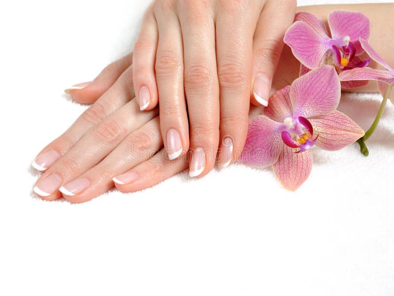 Piękna ręka z pięknego gwoździa francuskim manicure'em obraz royalty free Piękna ręka z pięknego gwoździa francuskim manicure'em obraz royalty free