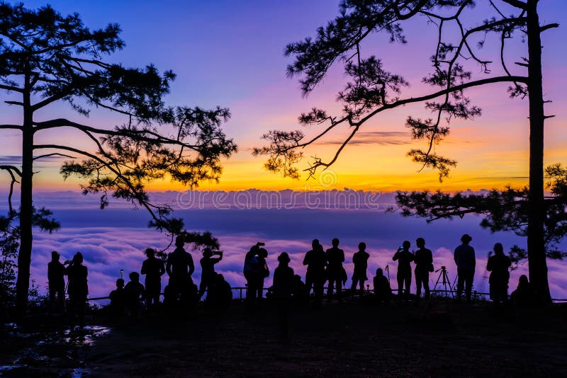 Piękna sylwetka turysty lub podróżnika cieszyć się mgłą i wschodem słońca w nok aen cliff phu of kradueng national park loei thlan obraz royalty free