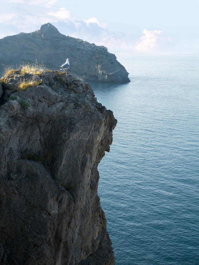 Piękna szczytu góry mewa seascape obraz royalty free