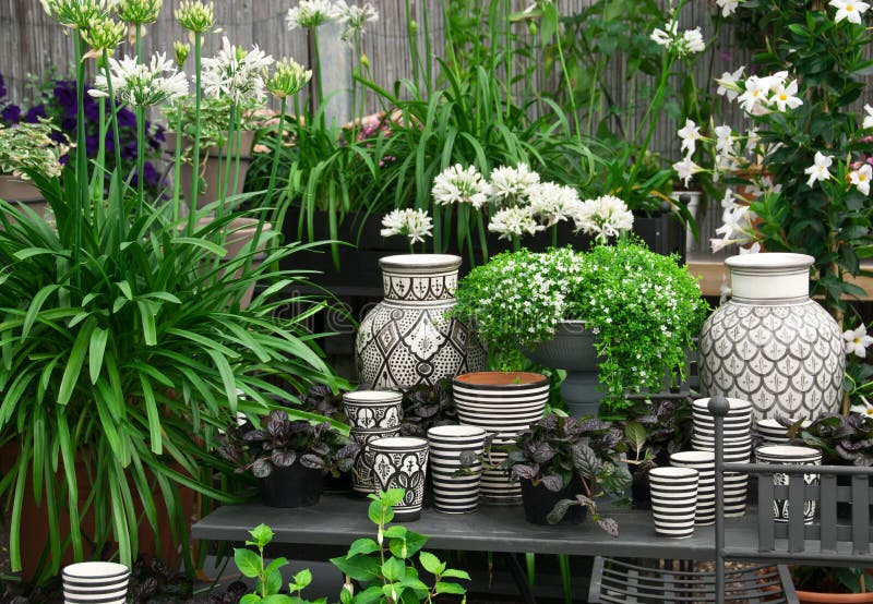 Piękne rośliny i ceramika w kwiatu sklepie