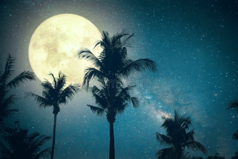 Pięknego fantazi drzewka palmowego tropikalna plaża z Milky sposobu gwiazdą w nocnych niebach, zdjęcie stock Pięknego fantazi drzewka palmowego tropikalna plaża z Milky sposobu gwiazdą w nocnych niebach, zdjęcie stock