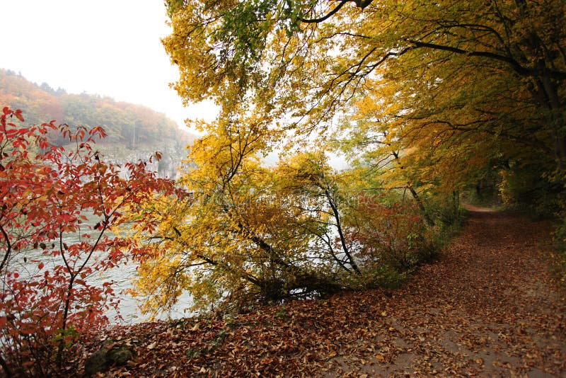 Pięknego spadku lasowa ścieżka przy Danube brzeg rzeki obrazy stock Pięknego spadku lasowa ścieżka przy Danube brzeg rzeki obrazy stock