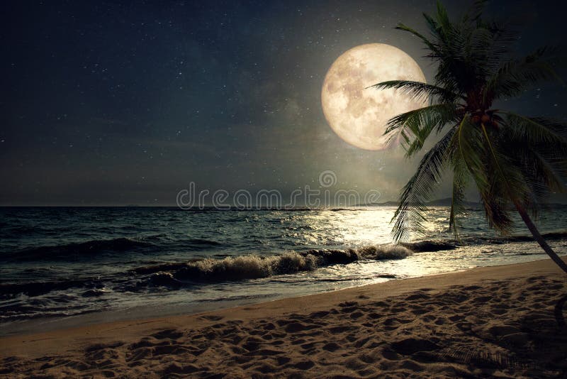 Pięknej fantazi tropikalna plaża z Milky sposobu gwiazdą w nocnych niebach, księżyc w pełni Pięknej fantazi tropikalna plaża z Milky sposobu gwiazdą w nocnych niebach, księżyc w pełni