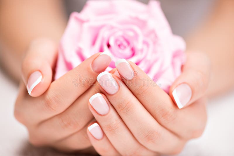 Piękni kobieta gwoździe z francuskim manicure'em i wzrastali zdjęcia royalty free Piękni kobieta gwoździe z francuskim manicure'em i wzrastali zdjęcia royalty free
