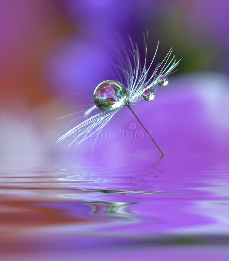 Abstract macro photo with flower and water drops.Artistic Motion Background for desktop. Flowers made with pastel tones.Tranquil abstract closeup art photography.Print for Wallpaper...Floral fantasy design. Abstract macro photo with flower and water drops.Artistic Motion Background for desktop. Flowers made with pastel tones.Tranquil abstract closeup art photography.Print for Wallpaper...Floral fantasy design...