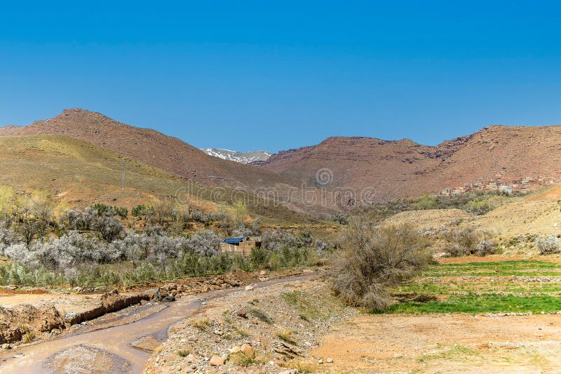 Scenic Beauty of Ait Ibourk Oasis: Palm Trees and Mountains. Scenic Beauty of Ait Ibourk Oasis: Palm Trees and Mountains
