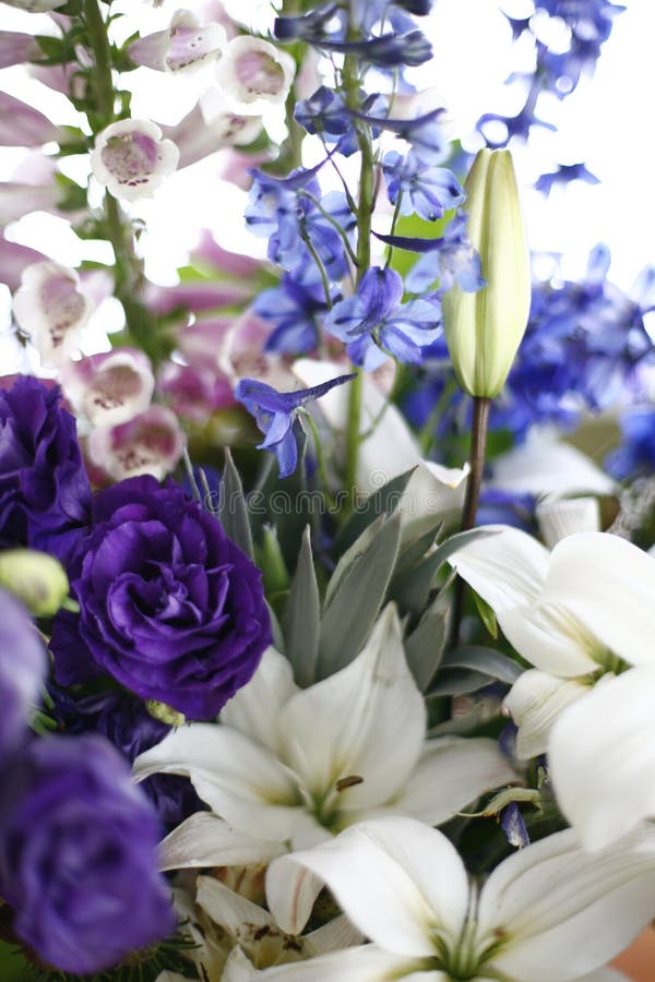 A fresh flower bouquet display arrangement in a natural light domestic interior. Nothing says I love you like a fresh bouquet of beautiful cut flowers. For your Mom, Dad, Sister, Brother, Lover, or Wife - make them smile and know you care this Valentine's day. A fresh flower bouquet display arrangement in a natural light domestic interior. Nothing says I love you like a fresh bouquet of beautiful cut flowers. For your Mom, Dad, Sister, Brother, Lover, or Wife - make them smile and know you care this Valentine's day.