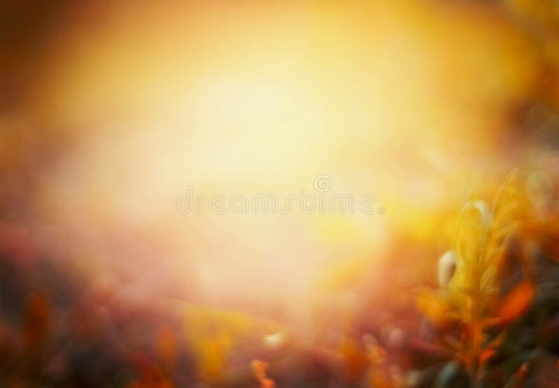 Piękny jesieni natury tło na spadku parku lub ogródzie fotografia royalty free