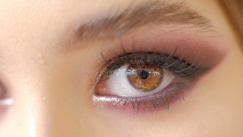 Pi? kny kobiety Brown oka wakacje makeup Makija? u zako? czenie M? odej Kobiety oka makro- kr? tkop? d Smokey, Dymi? cy oczy zbiory