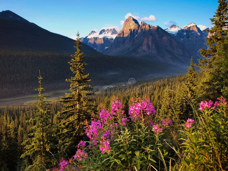 Piękny krajobraz z Skalistymi górami przy zmierzchem w Banff parku narodowym, Alberta, Kanada zdjęcia stock