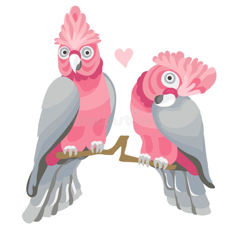Piękny, kreskówka, Różani Cocatoo ptaki ilustracji
