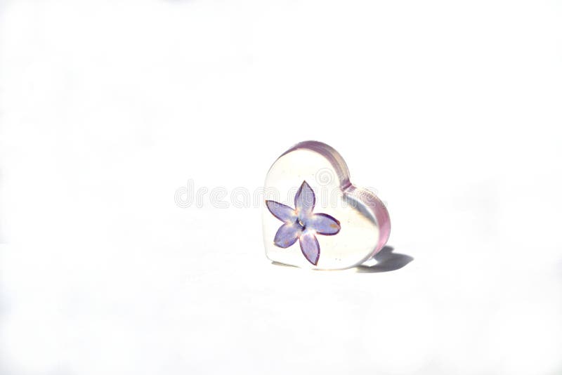 Beautiful violet lilac blossom in epoxy resin heart isolated on white background. Beautiful violet lilac blossom in epoxy resin heart isolated on white background.