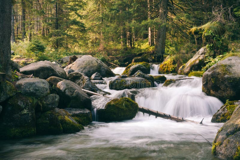 Piękny mały waterful w zielonym małym lesie obraz stock Piękny mały waterful w zielonym małym lesie obraz stock