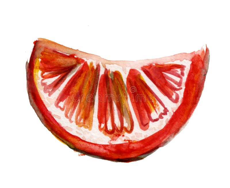Piękny obraz pojedynczego kawałka jasnego soczystego grejpfruta wyizolowanego na białym tle royalty ilustracja