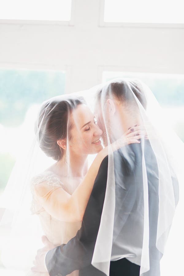 Piękny państwo młodzi portret z przesłoną nad twarzą Elegancki Kochający ślub pary całowanie i przytulenie obraz royalty free Piękny państwo młodzi portret z przesłoną nad twarzą Elegancki Kochający ślub pary całowanie i przytulenie obraz royalty free